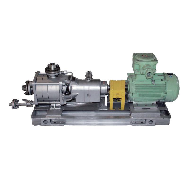 Small flow process pump